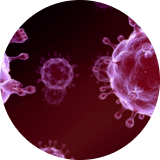 Σεξουαλικώς μεταδιδόμενα νοσήματα