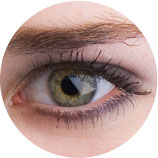 λεύκη βλεφαρίδες