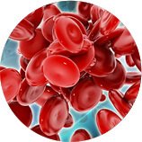 Σιδηροπενική αναιμία