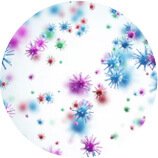 Βακτηριακές / μυκητιασικές λοιμώξεις