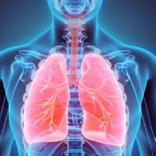 Dr Θεοδώρα Πλακιά Pulmonologist - Tuberculosis specialist: Book an online appointment
