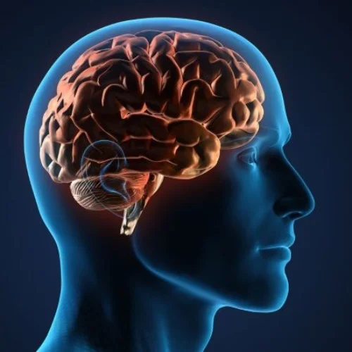 Dr Κωνσταντίνα Κατσέλη Neurosurgeon: Book an online appointment