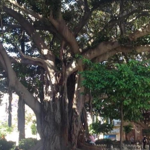 Γουργιώτη Ευανθία -Εύη Γουργιώτη Ψυχολόγος | doctoranytime Γουργιώτη Ευανθία -Εύη Γουργιώτη Ψυχολόγος | doctoranytime