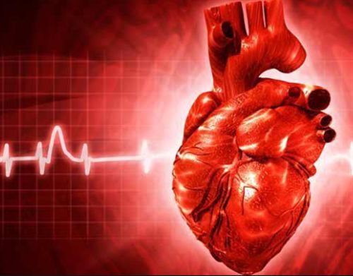 Μπαρμπέρης Δημήτριος Καρδιολόγος | doctoranytime