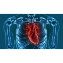 Μαζαράκη Δέσποινα Καρδιολόγος | doctoranytime
