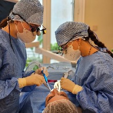 Καφαντάρη Ινώ Dr., Med, Dent