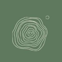 Γόκτση Ασημένια