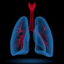 Καπετανγιώργης Αθανάσιος - Κέντρο Αναπνευστικής Αποκατάστασης Πνευμονολόγος - Φυματιολόγος