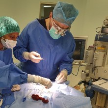 Καραμαρίτης Παναγιώτης