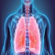 Πετροχείλου Καλομοίρα - Ήρα Πνευμονολόγος - Φυματιολόγος | doctoranytime