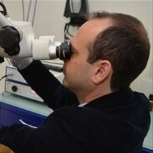 Κάλτσος Ευθύμιος MD, MSc, FEB-ORL