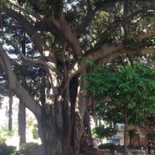 Γουργιώτη Ευανθία -Εύη Γουργιώτη Ψυχολόγος | doctoranytime Γουργιώτη Ευανθία -Εύη Γουργιώτη Ψυχολόγος | doctoranytime