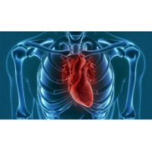 Λιαπάκης Μάριος Καρδιολόγος | doctoranytime
