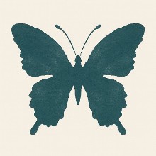 ΤheraΝous Ψυχοθεραπεία & Υποστήριξη