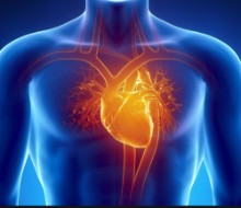 Σταύρογλου Απόστολος Καρδιολόγος | doctoranytime